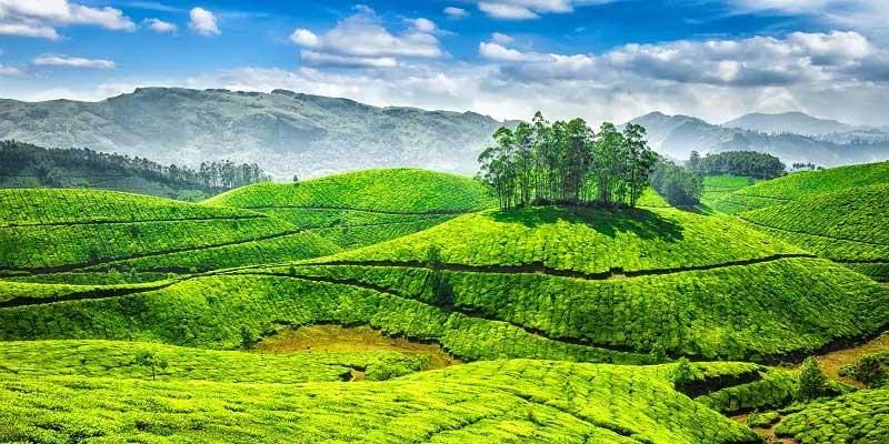  Ooty Tour Packages from Chennai